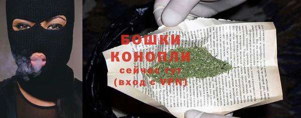 дмт Лиски