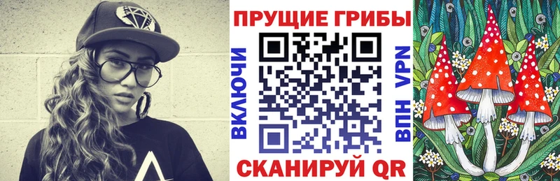 где найти наркотики  Починок  Псилоцибиновые грибы MAGIC MUSHROOMS 